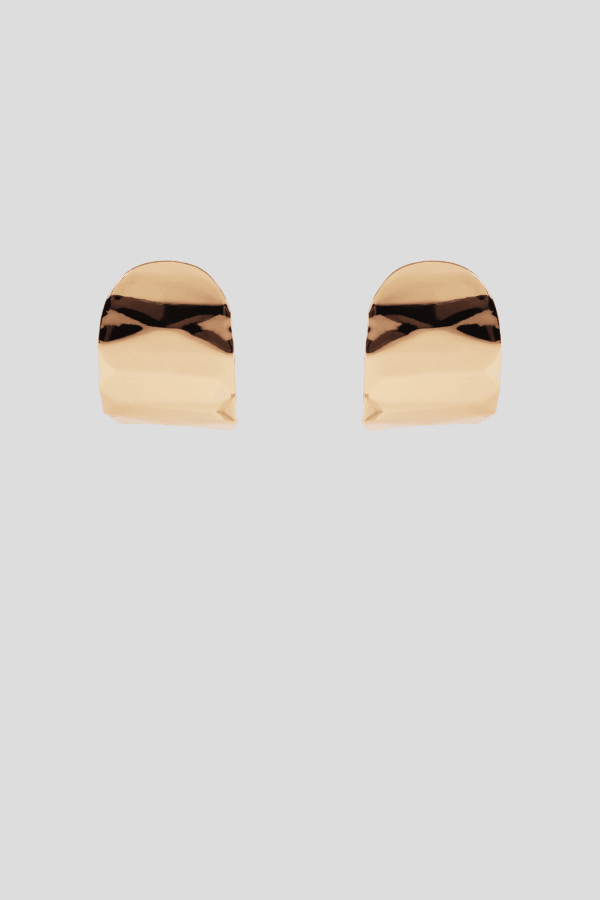 Faceted earrings